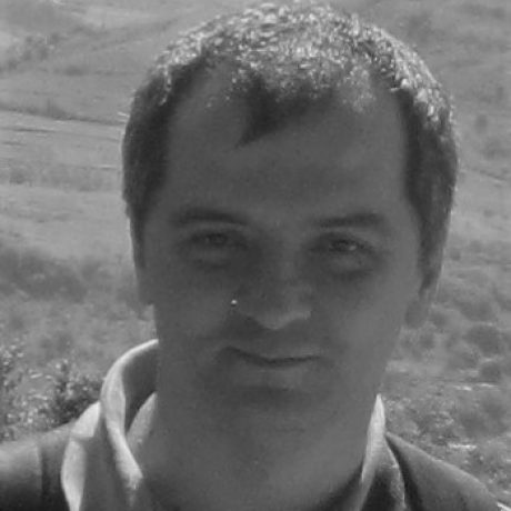 Profile picture of Romi