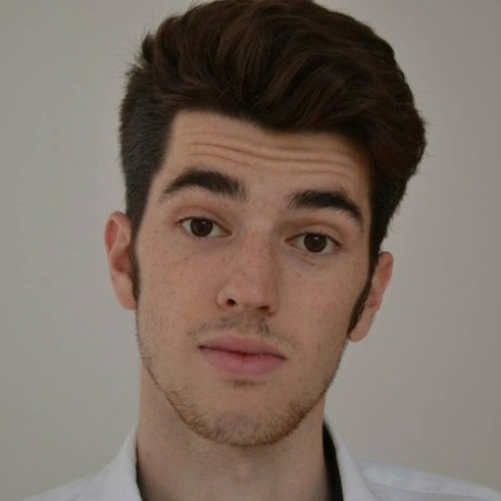 Profile picture of Raul Ilie