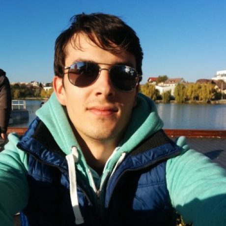 Profile picture of Alin Chitas